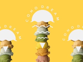 ‘Dream’ Logo Design | Coho Dream