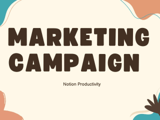 Marketing Campaign 