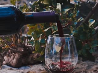 Reel For Wine Enthusiasts