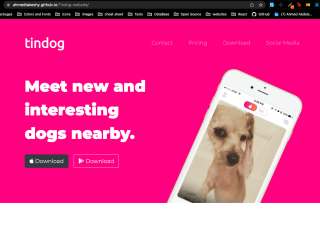TinDog website