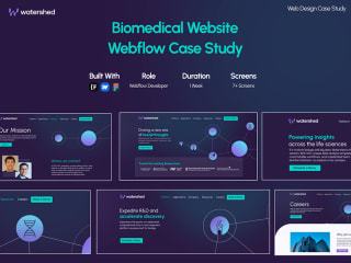 Webflow Website Build Case Study | Watershed 