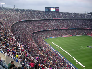 Embracing The Moment: Sports Wisdom