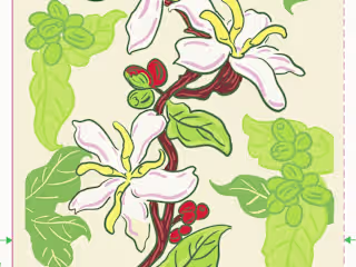 Package Design: New Flower Coffee