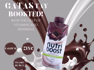 Email Marketing for Nutri Boost