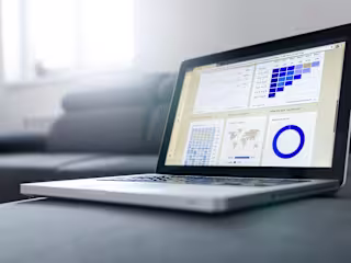 Data Entry Optimization for Financial Reporting
