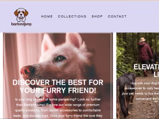 Expert E-commerce Website Designer