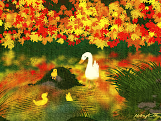 "Ducklings In The Autumn" by Mikayla Thompson
