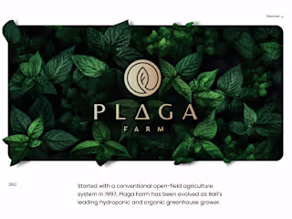 Plaga Farm | Brand Identity