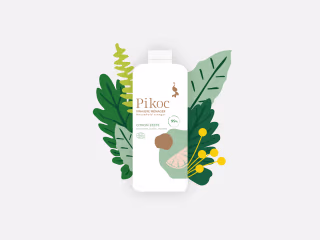 Pikoc, Ulule Campaign