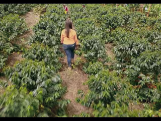 IBM Foodtrust Farmer Connect Featurette on Vimeo