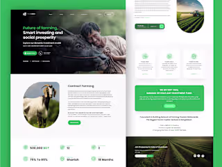 Futuredesh Landing Page design