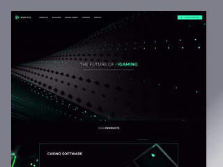 The First Interaction iGaming Platfrom Design UX/UI