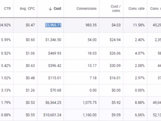 Google Ads Case Study (Tea)- $52k revenue