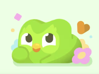Duolingo Widget Promo Newsletter