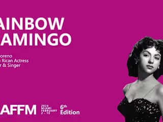 RAINBOW FLAMINGO - Film competition Teaser