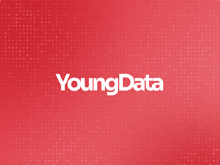 Youngdata: A Webflow Integration Tailored for Impact