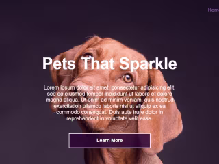 Pet Cleaning Website