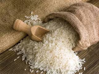 Purixe International-Rice, sugar, wheat, flour supplier in India