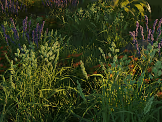 3D Environment