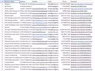 B2B Lead Generation Project