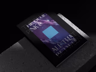 Zine | The Blue, Pink & All That Between :: Behance