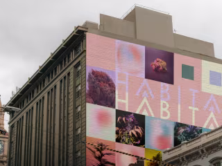 Habitas Brand Identity