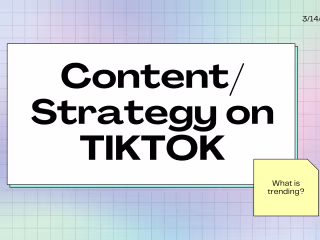 TikTok Content/Strategy 🎨👩🏻‍🎨🧠