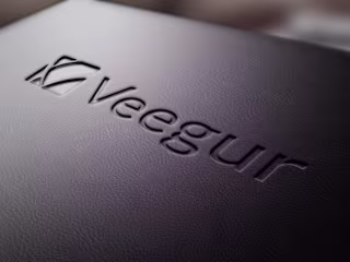 Veegur Health | Brand Identity design