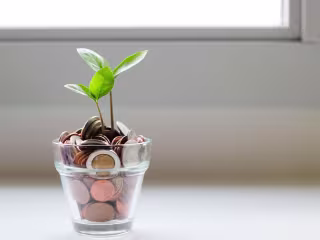 Business & Personal Finance Article Writing