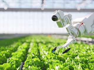 Farms and Foods: AI’s Revolutionary Impact on Agro and Food.