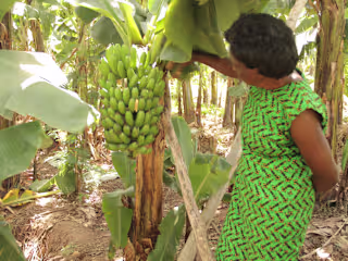 Climate change resilience