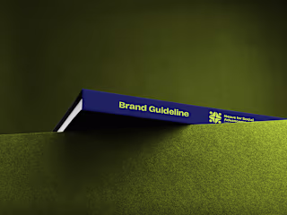Nexus for Social Advancement Brand Guideline
