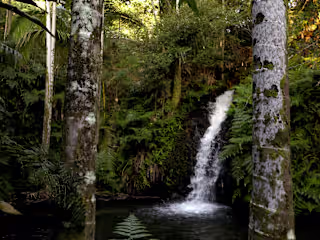 Hawai'i Wellness Retreats