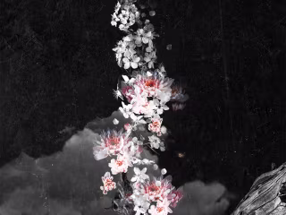 VISUAL ARTWORK