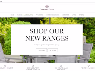 SEO Optimization and Website Revamp
