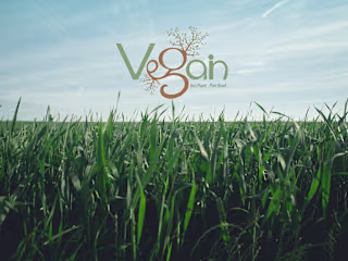 VeganGain Logo for Plant Based Living for Better Planet 
