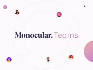 Monocular Teams