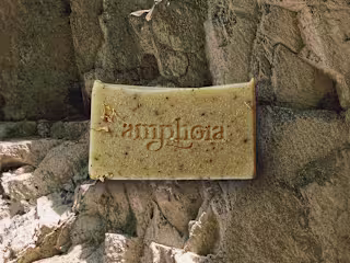 Identity Design for Natural Beauty Brand