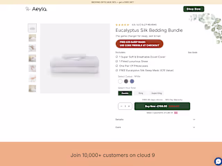 Aeyla Landing Page Development