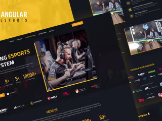 Angular Esport - Esport Website