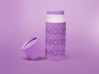 Creative Writing for an Advertising Campaign