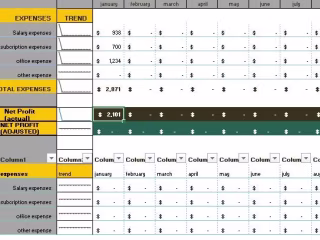 Custom financial spreadsheet