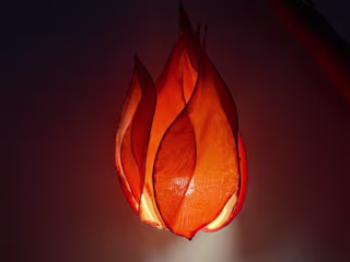 LAVA Lamp