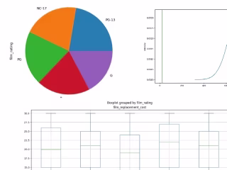Store business data analysis 