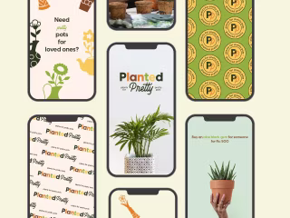 PLANTED PRETTY | PLANTS POT SHOP