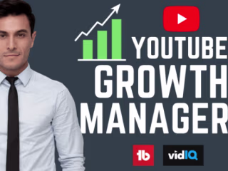 I will be your YouTube channel growth manager, video SEO expert.