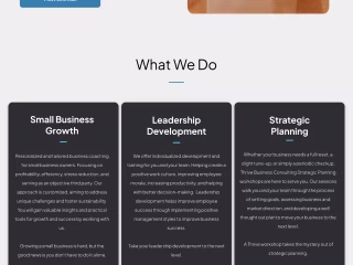 Thrive Business Consulting