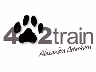 Custom WordPress Website for a Dog Training Institute