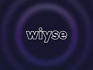 Wiyse: Launch campaign for AI Service (2024)