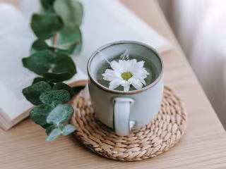 Green tea vs protein shake: What’s better to drink before and a…